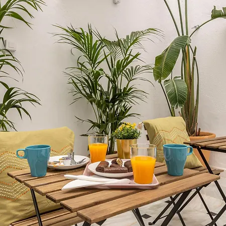 Casa Palacio La Lola Y Ole Gran Terraza Apartamento